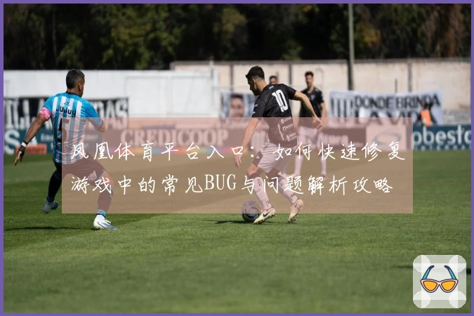 凤凰体育平台入口：如何快速修复游戏中的常见BUG与问题解析攻略