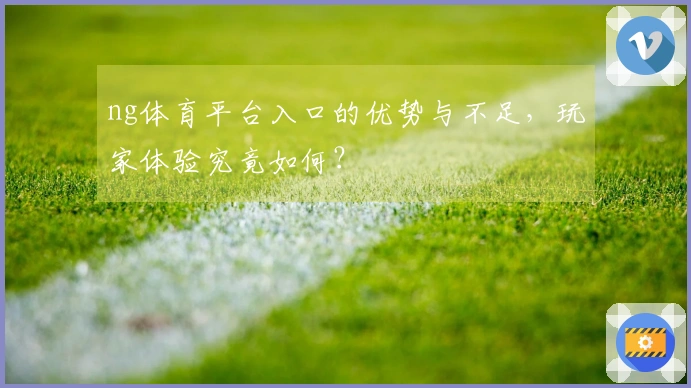 ng体育平台入口的优势与不足，玩家体验究竟如何？