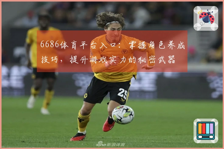 6686体育平台入口：掌握角色养成技巧，提升游戏实力的秘密武器